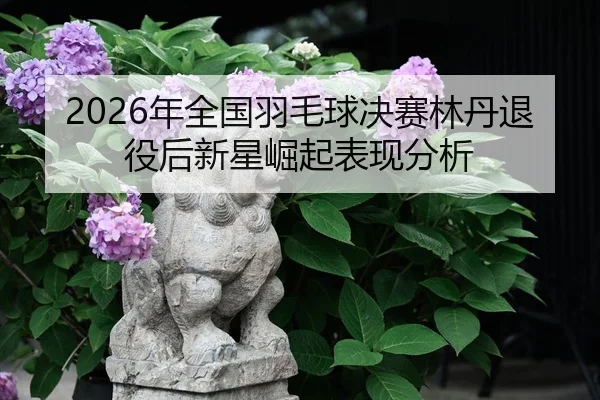 nian-quan-guo-yu-mao-qiu-jue-sai-lin-dan-tui-yi-hou-xin-xing-jue-qi-biao-xian-fen-xi-2-841.jpg
