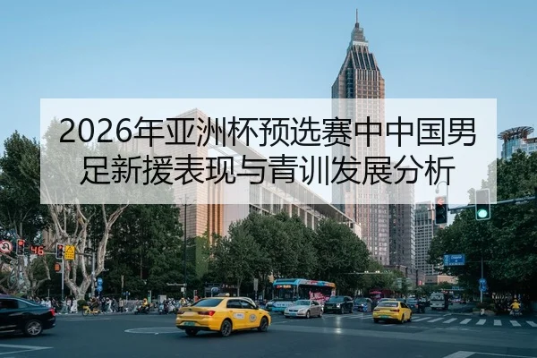 2026年亚洲杯预选赛中中国男足新援表现与青训发展分析
